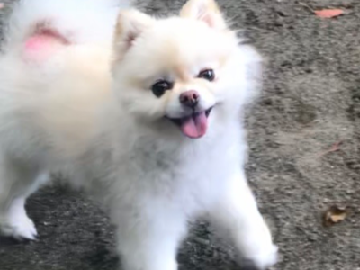 メンバー